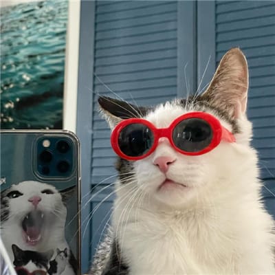 Fajar Nugroho avatar